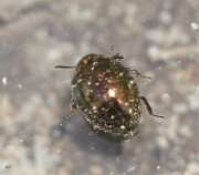 Thumbnail 323746 B