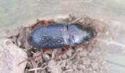 Thumbnail 324058 A