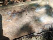 Thumbnail 324456 A