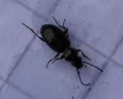 Thumbnail 324981 B