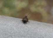 Thumbnail 326068 B