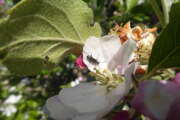 Thumbnail 326073 B