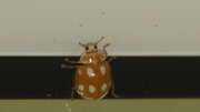 Thumbnail 326074 B