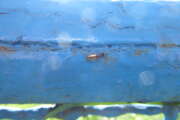Thumbnail 326076 A