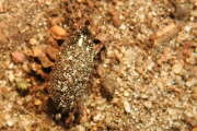 Thumbnail 326476 B