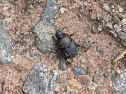 Thumbnail 326746 B