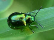 Thumbnail 327026 B
