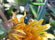 Thumbnail 327119 B