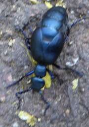 Thumbnail 327630 B