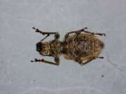 Thumbnail 327830 B