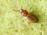 Thumbnail 328602 B