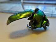Thumbnail 330040 A