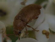 Thumbnail 330523 B