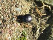 Thumbnail 331048 B