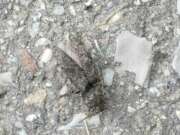 Thumbnail 331117 B