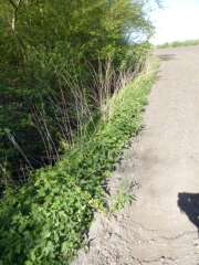 Thumbnail 331416 B