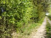 Thumbnail 331478 B