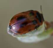 Thumbnail 331855 B