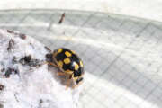 Thumbnail 332028 B