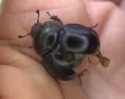 Thumbnail 333805 B