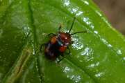 Thumbnail 334357 B