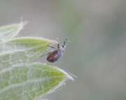 Thumbnail 334530 B