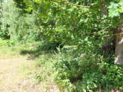 Thumbnail 337552 B