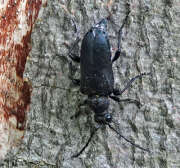 Thumbnail 340059 B