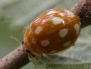 Thumbnail 340227 B