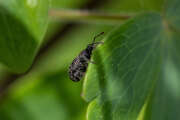 Thumbnail 340347 B