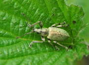 Thumbnail 340407 B