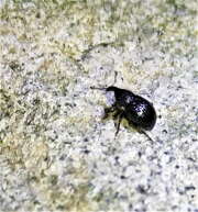 Thumbnail 340938 B