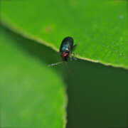 Thumbnail 341748