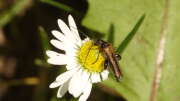 Thumbnail 342506 B