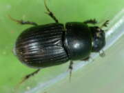Thumbnail 343039 B