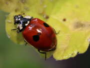 Thumbnail 343849 B