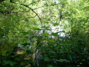 Thumbnail 346502 B