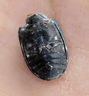 Thumbnail 346512 B