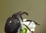 Thumbnail 348023 B