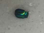 Thumbnail 348891 B