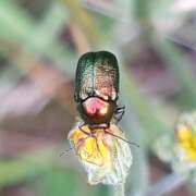 Thumbnail 350471 A