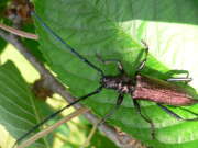 Thumbnail 351402 B