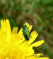 Thumbnail 351507 B