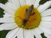 Thumbnail 351532 B