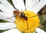 Thumbnail 351537 B