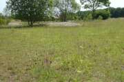 Thumbnail 351563 B