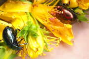 Thumbnail 351679 B