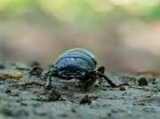 Thumbnail 352013 B