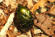Thumbnail 353110 B