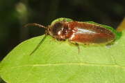 Thumbnail 353112 B